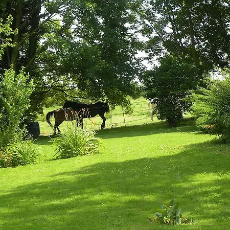 לינה וארוחת בוקר Chateau De Ricquebourg Maresquel