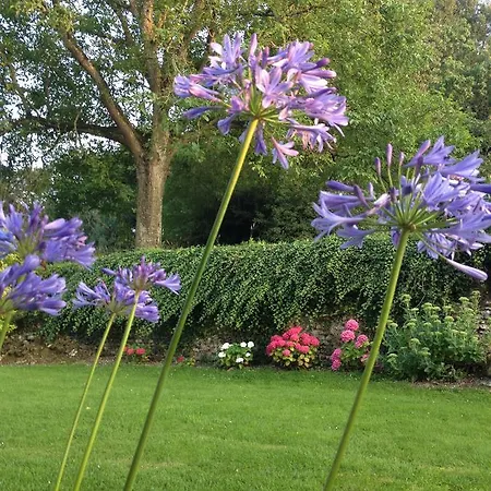 Chateau De Ricquebourg