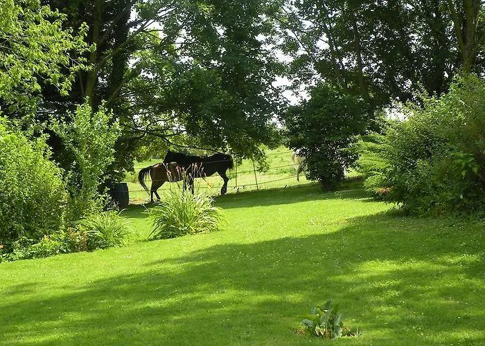 ベッド・アンド・ブレックファスト Chateau De Ricquebourg Maresquel
