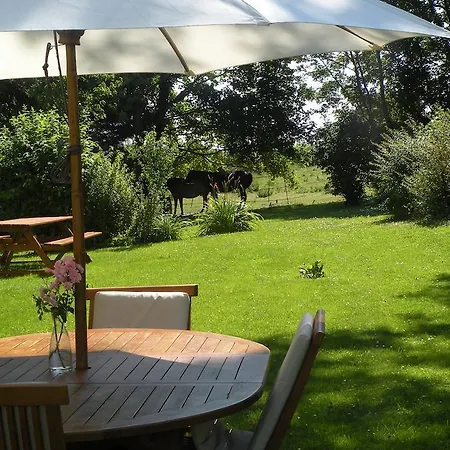 ベッド・アンド・ブレックファスト Chateau De Ricquebourg Maresquel