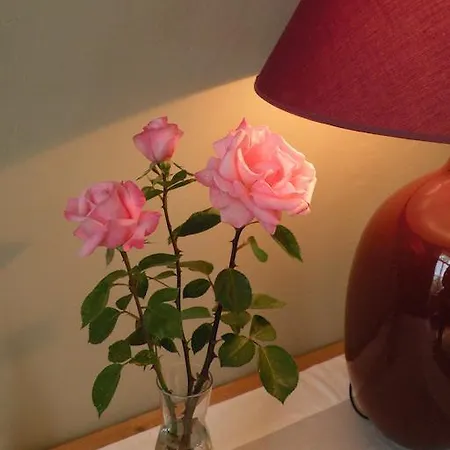 לינה וארוחת בוקר Chateau De Ricquebourg 3*
