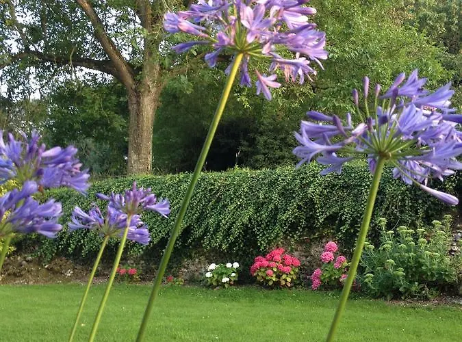 Chateau De Ricquebourg